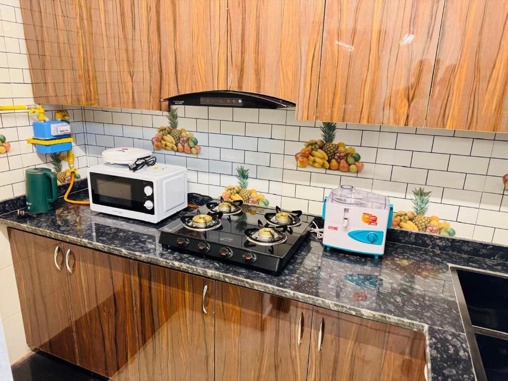 Studio Apartment in Saket